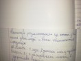 /album/fotogalereya-perli/a20151203-103535-jpg/